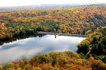 Swinging Bridge